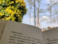 -夏河溪乡野公园