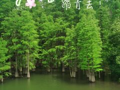 -九真山风景区