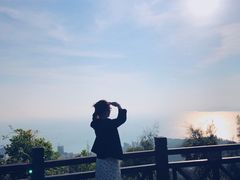 -广东惠东海龟国家级自然保护区