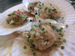 -沪碟·精菜坊(闵行店)