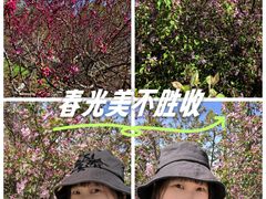 -新疆红山干果市场
