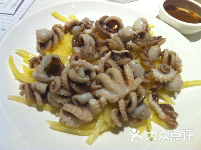 章鱼仔
