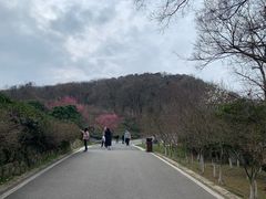 -南京市江宁方山