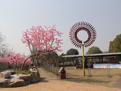 -武汉紫薇都市田园