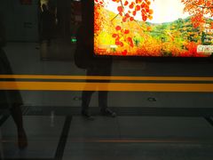 -梅纳·钢琴声乐架子鼓Mena Music(双井店)