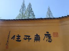 -九华山风景区