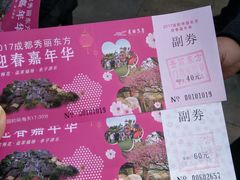 -秀丽东方