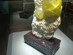 -湖南省地质博物馆