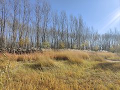 -野鸭湖国家湿地公园