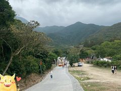 -美人鱼悬崖海景餐厅(鹿嘴山庄店)