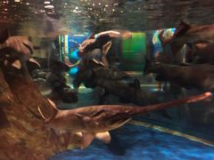 -成都浩海立方海洋公园