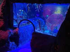 -沈阳海洋探索中心