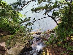 -佛山市三水区大南山森林公园