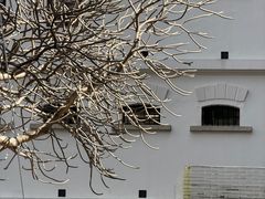 -大馆(前中区警署建築群)