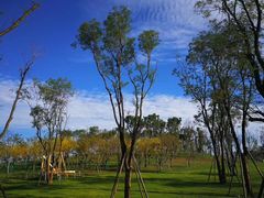 -白鹭湾湿地公园