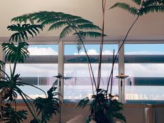-COFFEEOLOGY咖啡学(天银店)