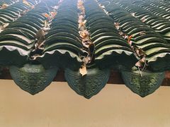 -上海佘山国家森林公园天马山园