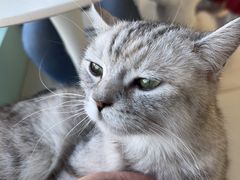 -怪兽屋·羊驼·猫咖·狗咖(俊华广场店)