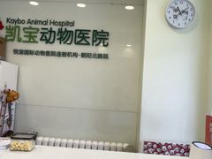 -悦宠凯宝动物医院·牙科·皮肤科(朝阳北路店)