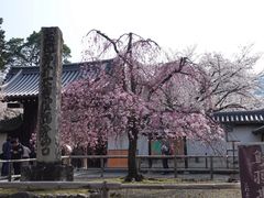 -醍醐寺