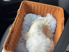 -心仪动物医院·牙专科·肿瘤·心脏科(西客站院)