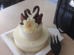 -BLACKSWAN黑天鹅(环球店)