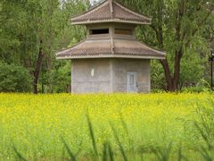 -北坞公园