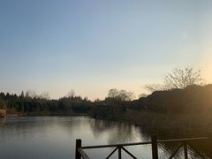 -东平国家森林公园