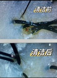 -Bollins波林丝•专研护发中心