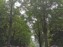 -苏州河梦清园环保主题公园