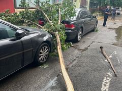 -芝麻花餐厅(祁家豁子店)