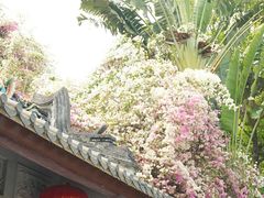 -深圳国际园林花卉博览园