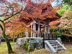 -醍醐寺