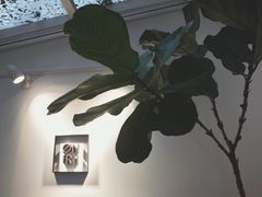 -Onirii Coffee(长乐路店)