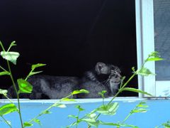 -青藏高原野生动物园