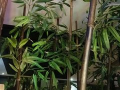 -观唐足道SPA养生会馆(南湖店)