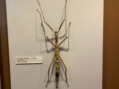 -天津自然博物馆