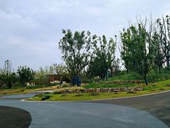 -盘龙城国家考古遗址公园