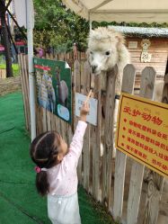 -萌宠亲子动物乐园(槐房万达店)