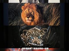 -罗红摄影艺术馆