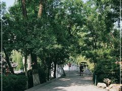 -莲湖公园