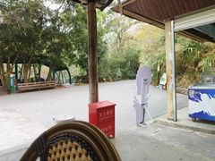 -西双版纳原始森林公园