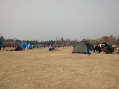 -秀丽东方