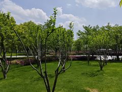 -茶人村·前滩江景雅宴(上海首店)