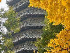 -玲珑塔公园