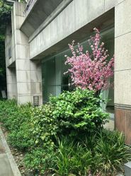 -榕树上·瑜伽普拉提