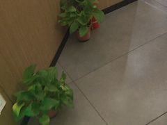 -耳湾躺式采耳SPA馆(保利五月花店)