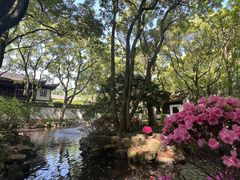 -上海醉白池公园
