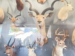 -陕西自然博物馆