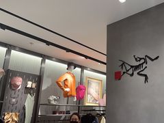 -ARC'TERYX始祖鸟(北京王府中环店)